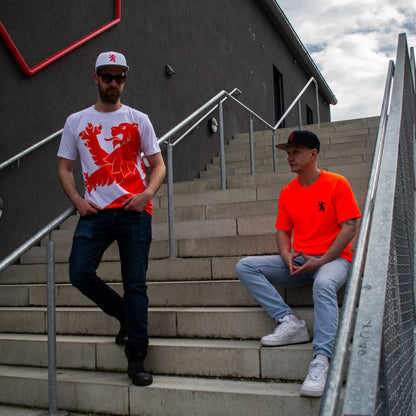 Men's T-Shirt "Big Lion"